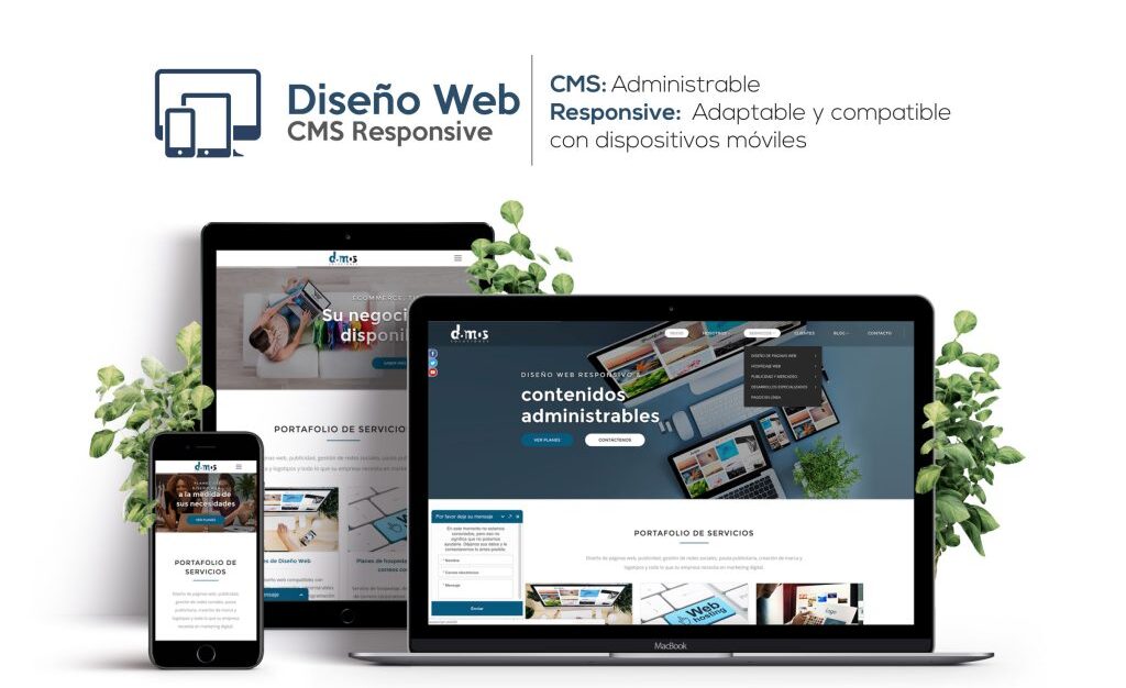 creacion web