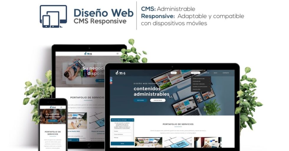 creacion web
